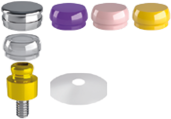 Titanium Abutment / OT Equator for Implants